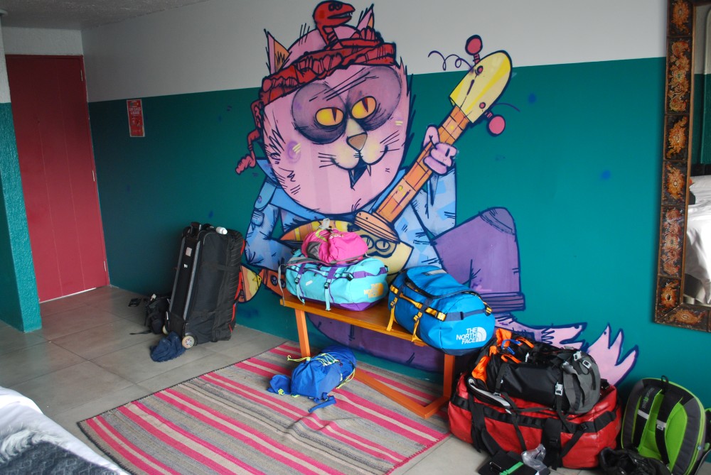 Cat Musician Graffiti